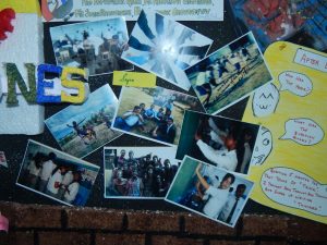 14188698_973905606054175_399341944614683161_o