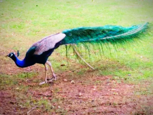 Regular visitor of UEM Jaipur